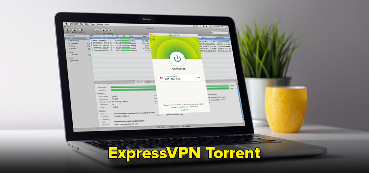expressvpn torrent