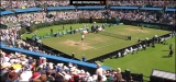 Tennis Davis Cup live [Guide 2024]